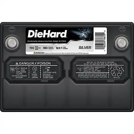 Battery: 124 Group Size, 700 CCA, 875 CA, 100 Minute Reserve Capacity, For Lower Power Demands