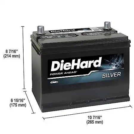 Battery: 124 Group Size, 700 CCA, 875 CA, 100 Minute Reserve Capacity, For Lower Power Demands